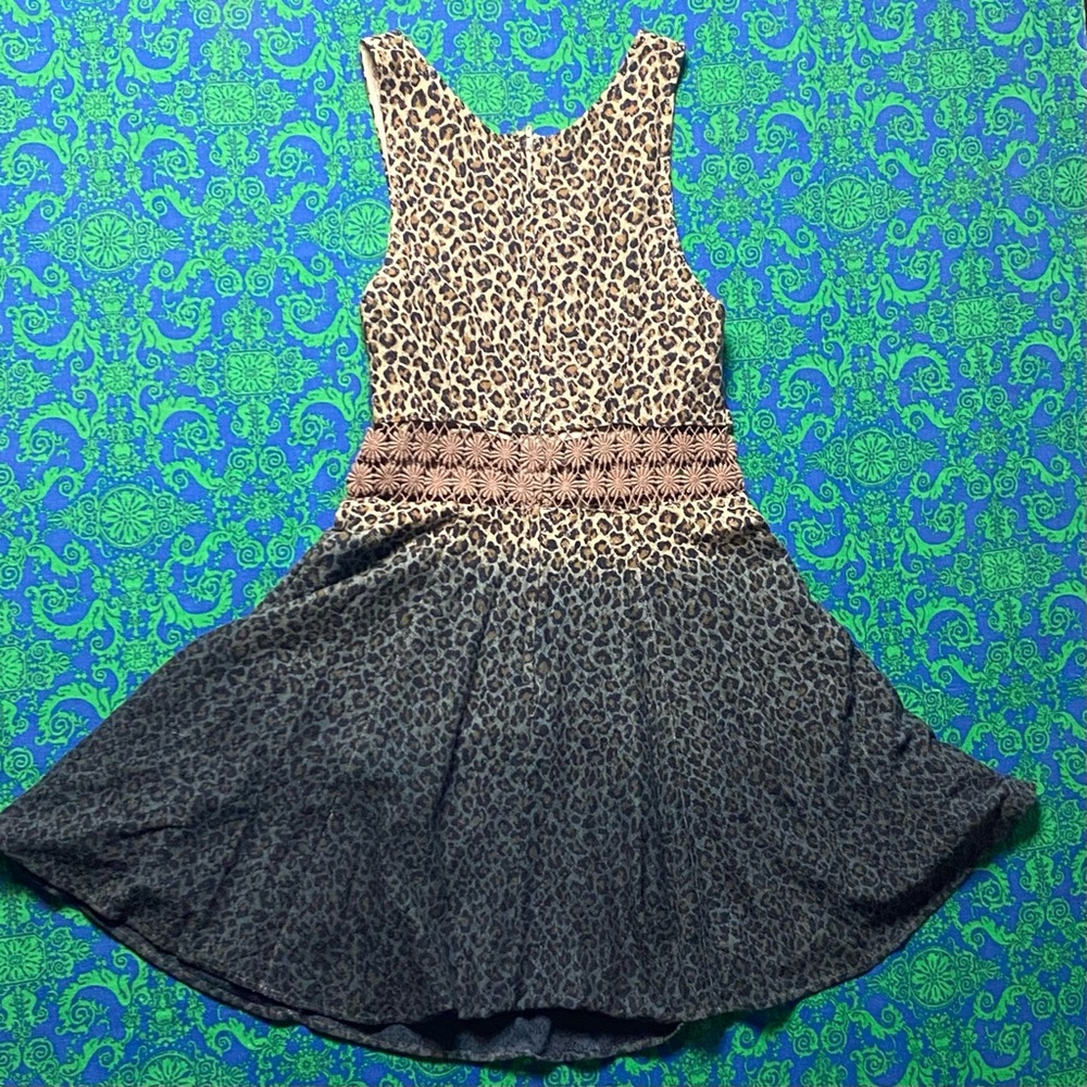 Free People Ombré Dress